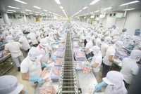 Anvifish: Cơ hội từ tự chủ nguồn nguyên liệu
